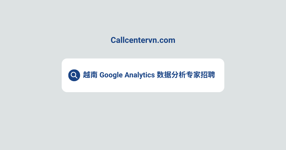 越南 Google Analytics 数据分析专家招聘 | THIENTU 天图高端人才搜寻